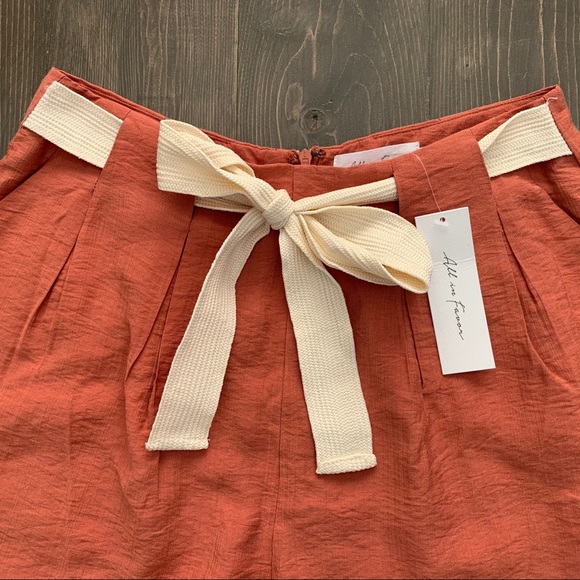 All in Favor Terracotta Shorts Size M EUC - Picture 3 of 5